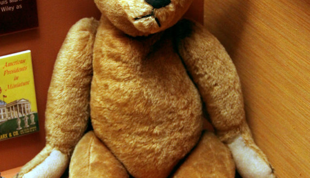 progressive plush bear