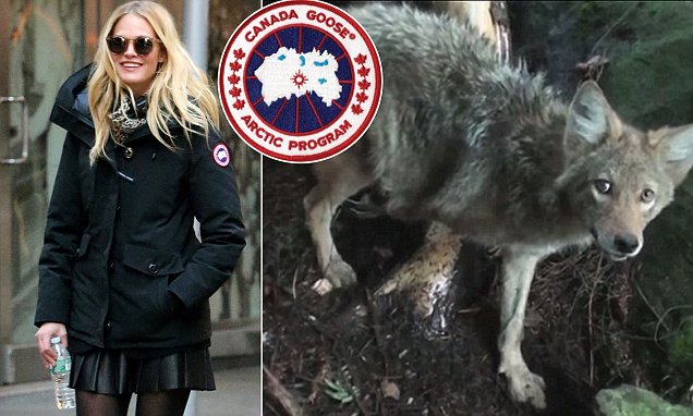 canada goose jacket controversy